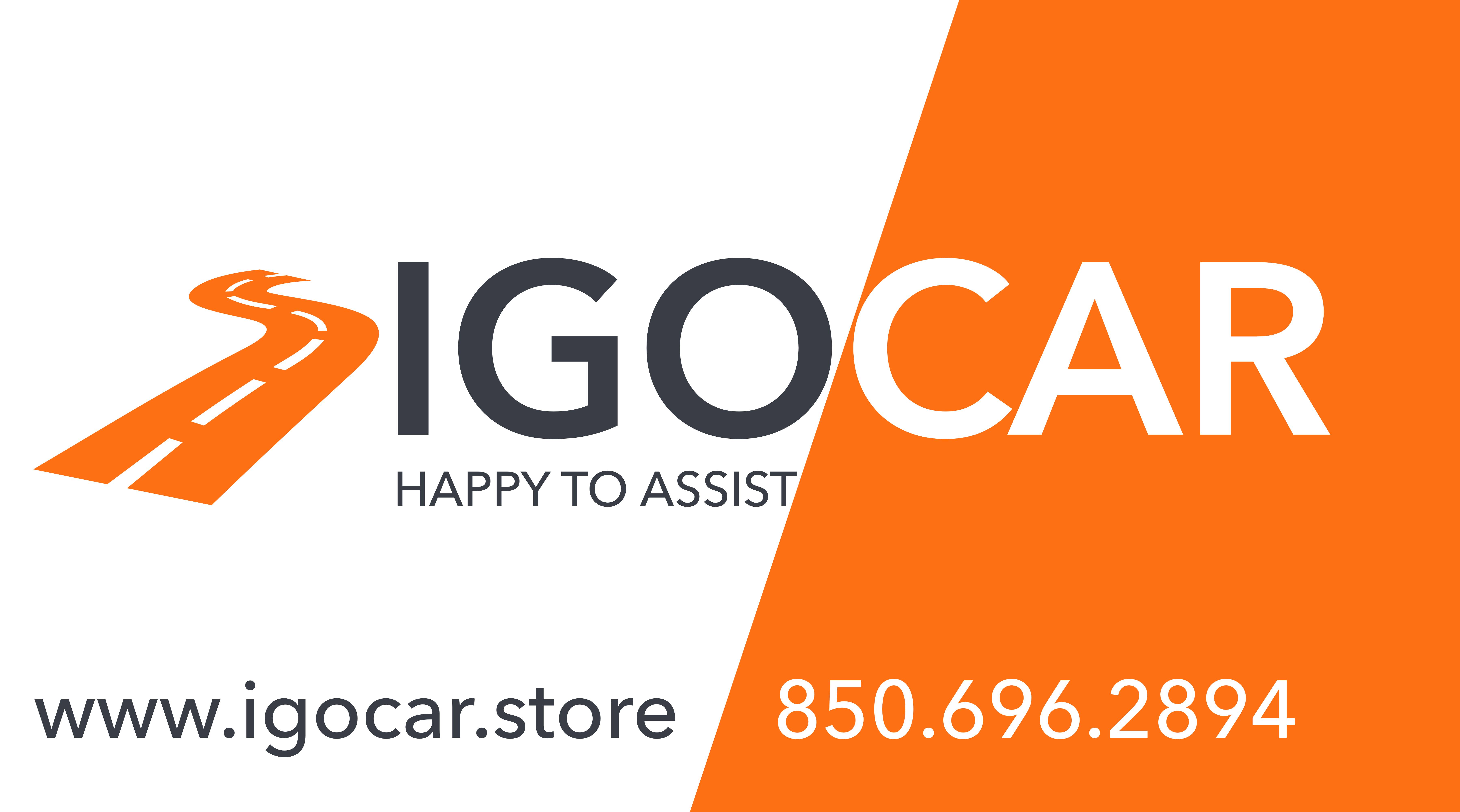 IGOCAR INC