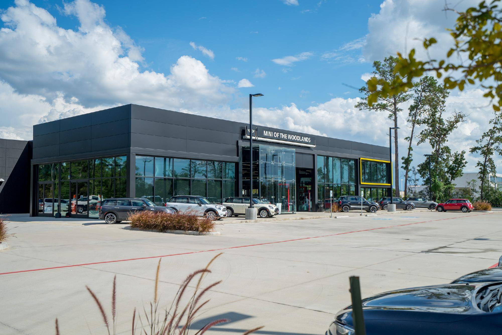 MINI of the Woodlands