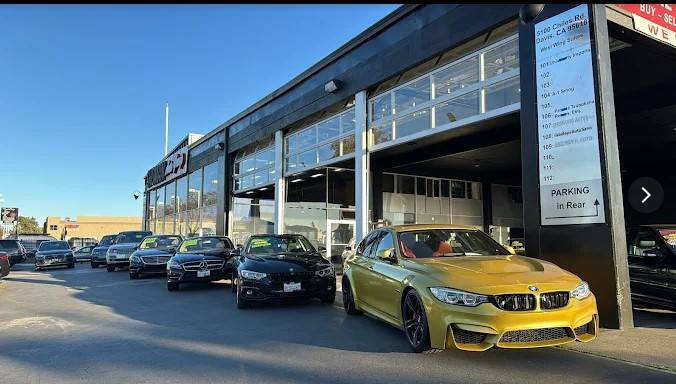 Shoman auto group