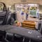 2019 Ford EcoSport 15th interior image - activate to see more