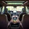 2019 Lincoln Navigator 16th interior image - activate to see more